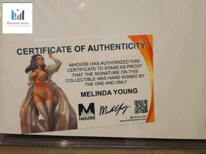 Certificate of Authenticity sign displayed in Limited Edition Super Mario Cosplay Comic Book Autographed by Melinda Young.